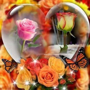 Meet your Posher, Denise